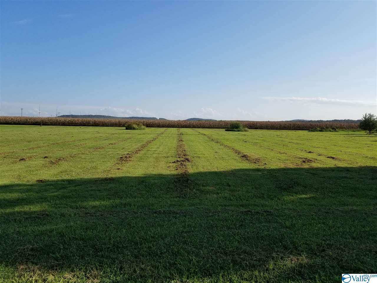 20184 Hwy 20 - Photo 1