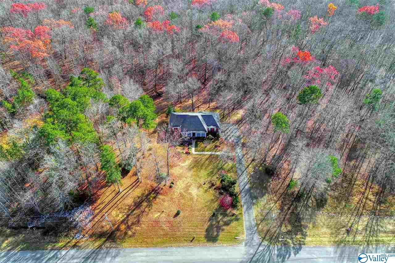 150 Hillsdale Drive - Photo 1