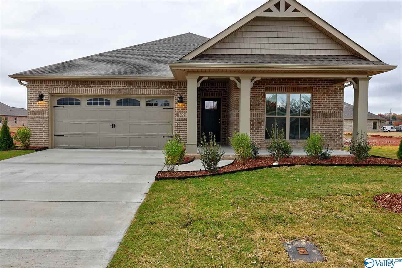 29919 Copperpenny Drive - Photo 1