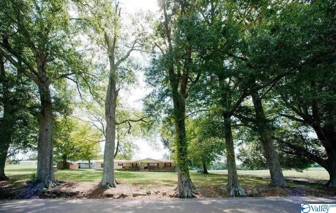 590 Butler Mill Road - Photo 1