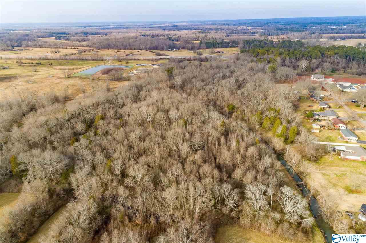 19.40 Acres Beacon Street, Moulton, AL 35650 (MLS 1772609) MarMac