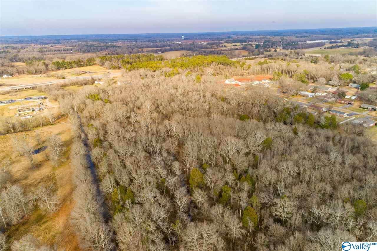 19.40 Acres Beacon Street, Moulton, AL 35650 (MLS 1772609) MarMac