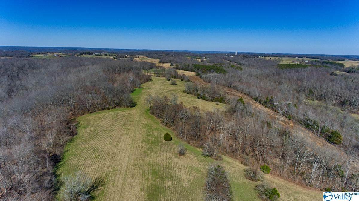 0 Mclemore Road - Photo 1