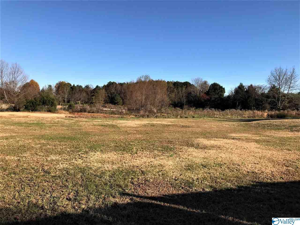 1094 Nick Davis Road - Photo 1