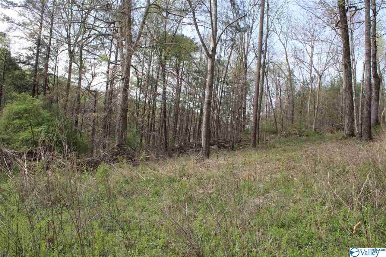 00 County Road 494 - Photo 1