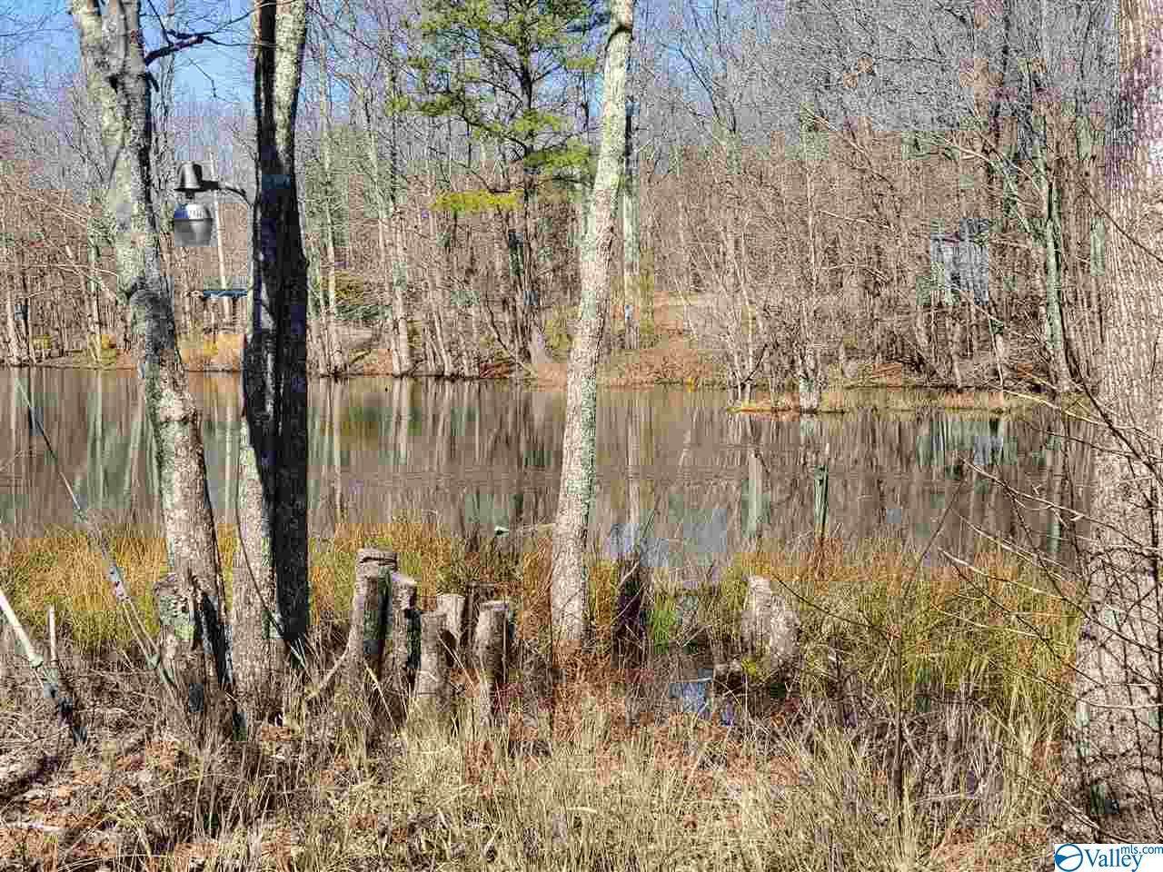0 County Road 216 - Photo 1