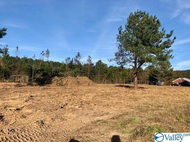 Lot 2 Mcglathery Lane - Photo 1