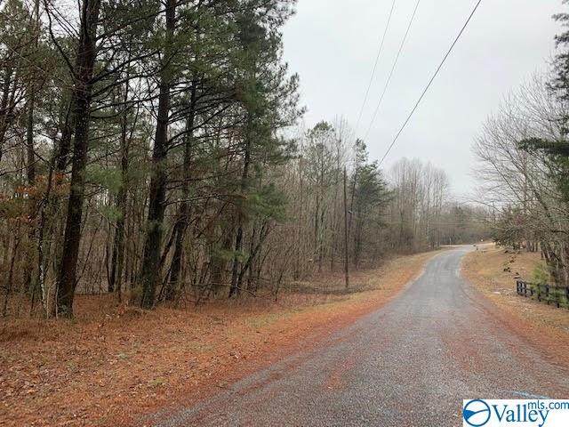 Lot 25 County Road 1025 - Photo 1