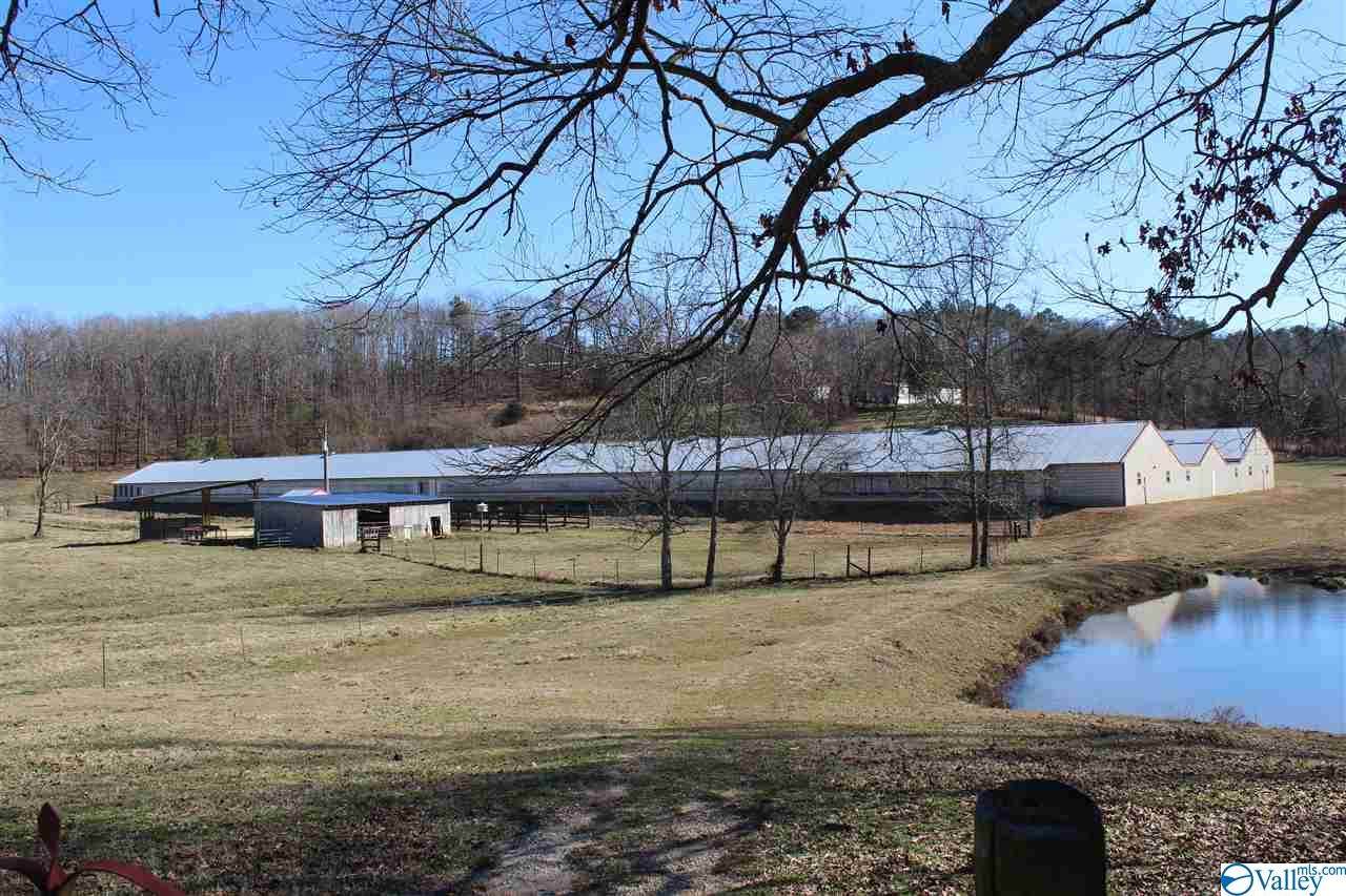 1600 County Road 62 - Photo 1