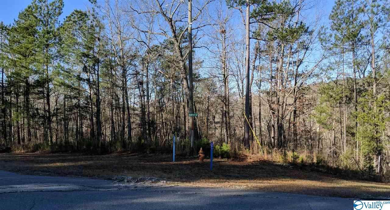 Lot 40 Wright Way Drive - Photo 1