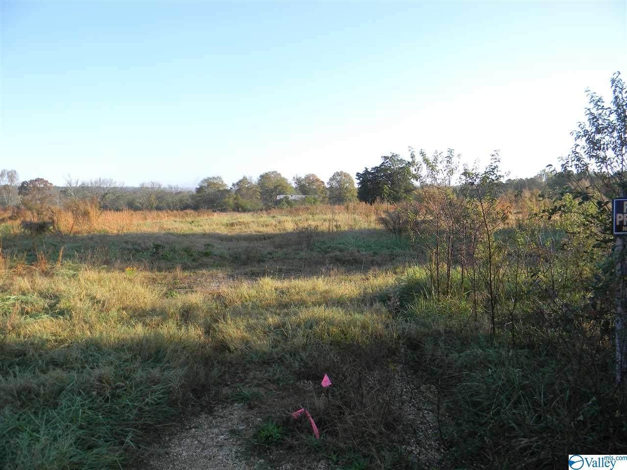 Tract # 3 County Road 142 - Photo 1
