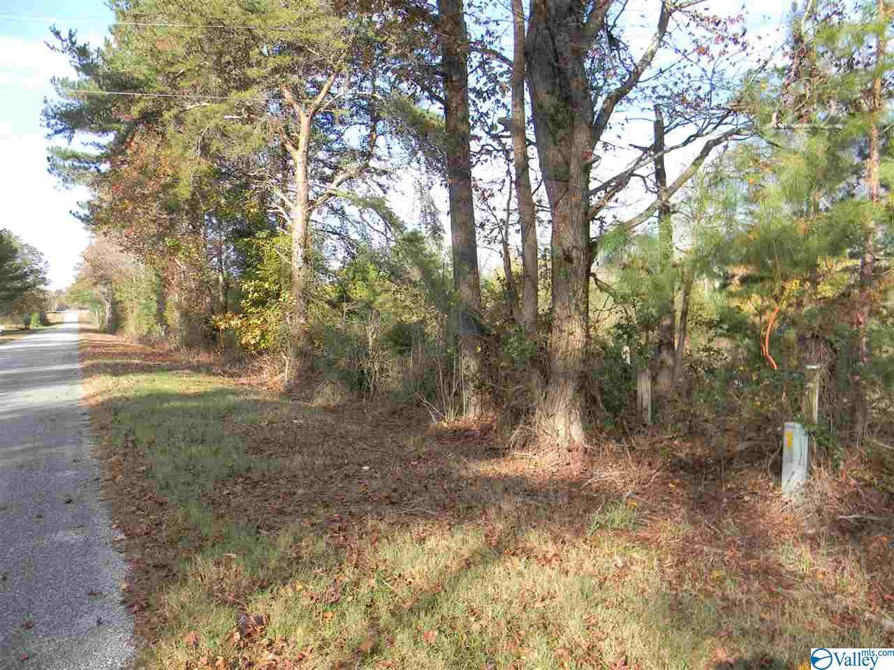Tract # 4 County Road 142 - Photo 1