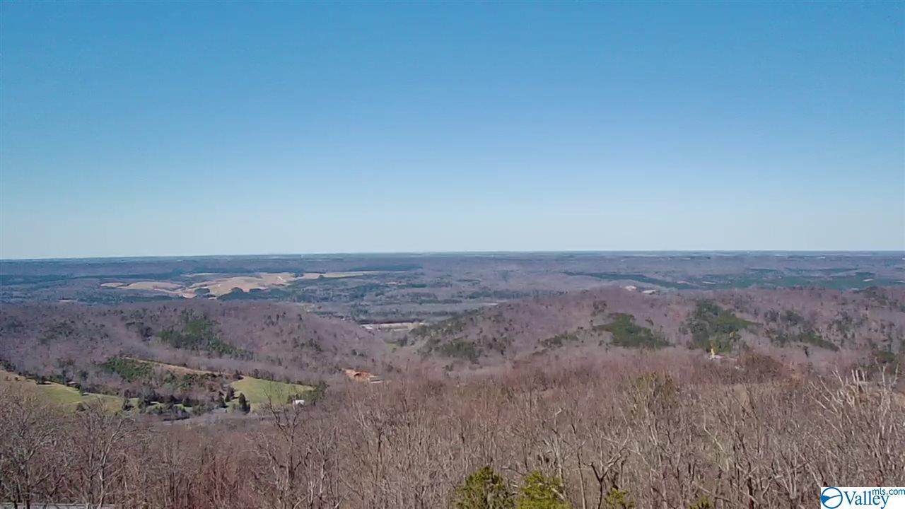 Lot 28 County Road 1025 - Photo 1
