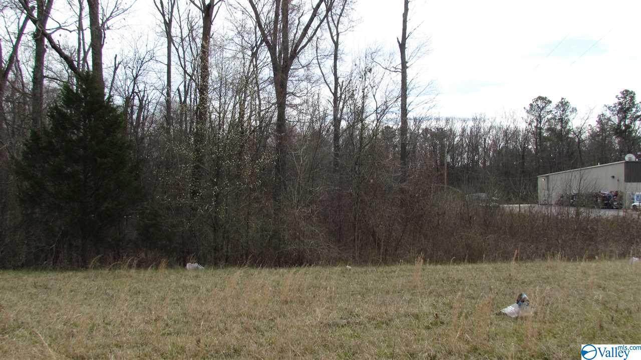 00 Alabama Highway 9 - Photo 1