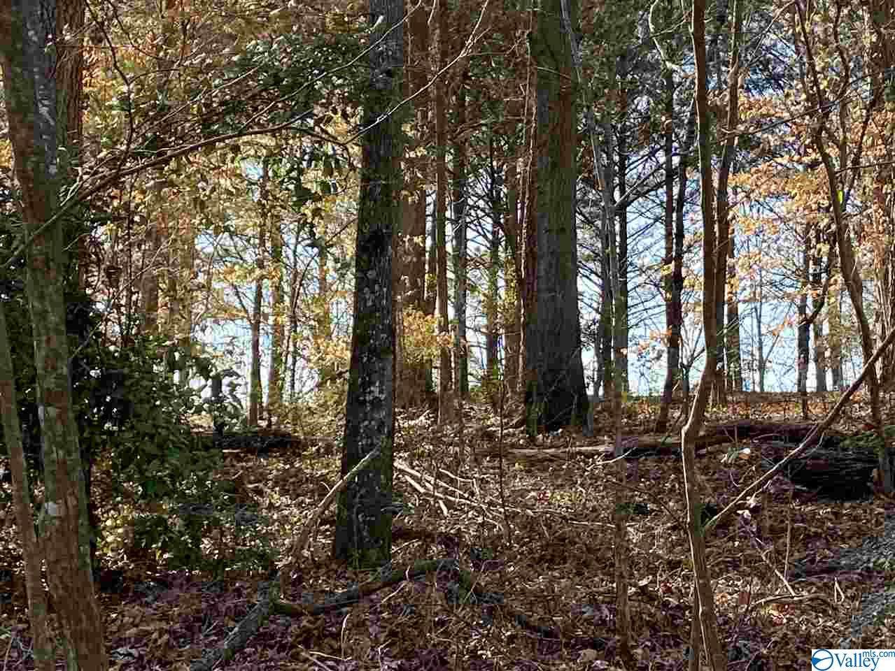 lot 12 County Road 389 - Photo 1