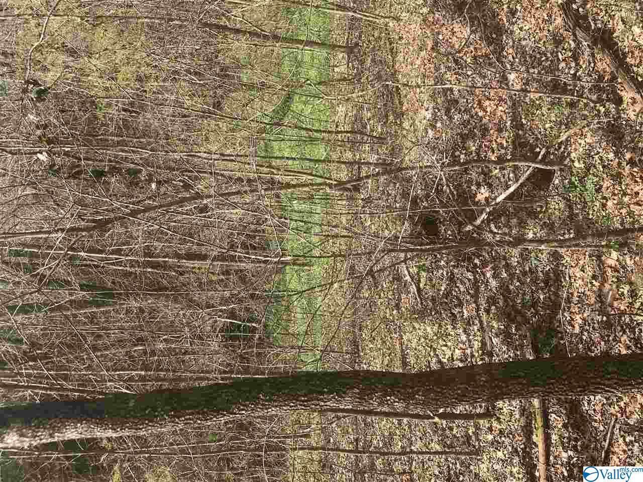 000 County Road 363 - Photo 1