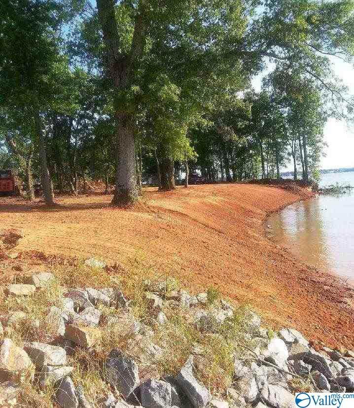 Tract 3 County Road 546 - Photo 1