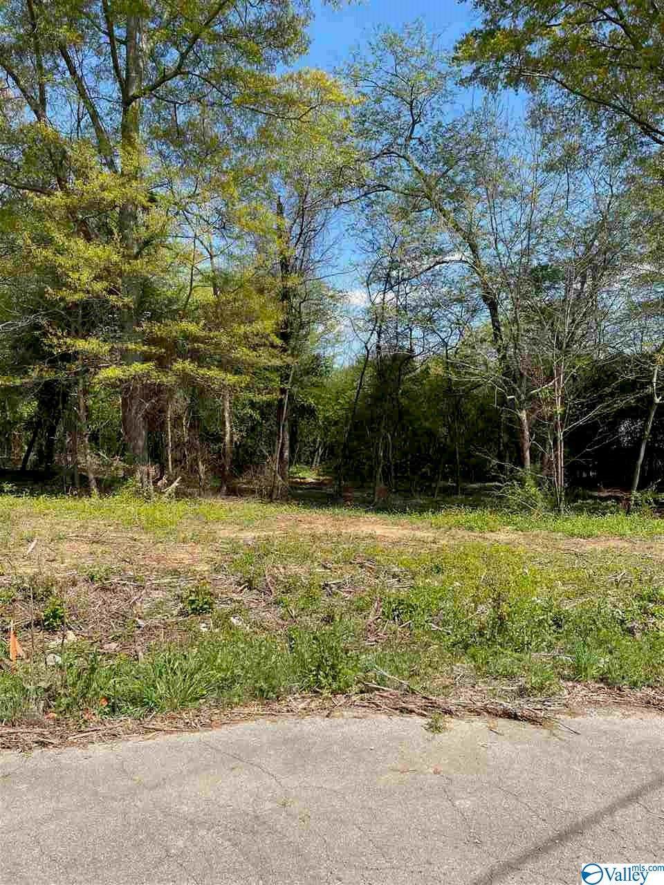 131 Eight Point Lane - Photo 1