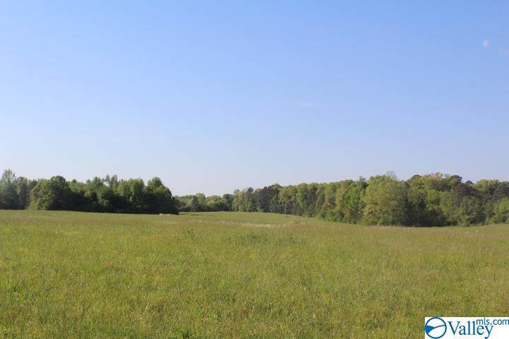 00 Hulaco Road - Photo 1