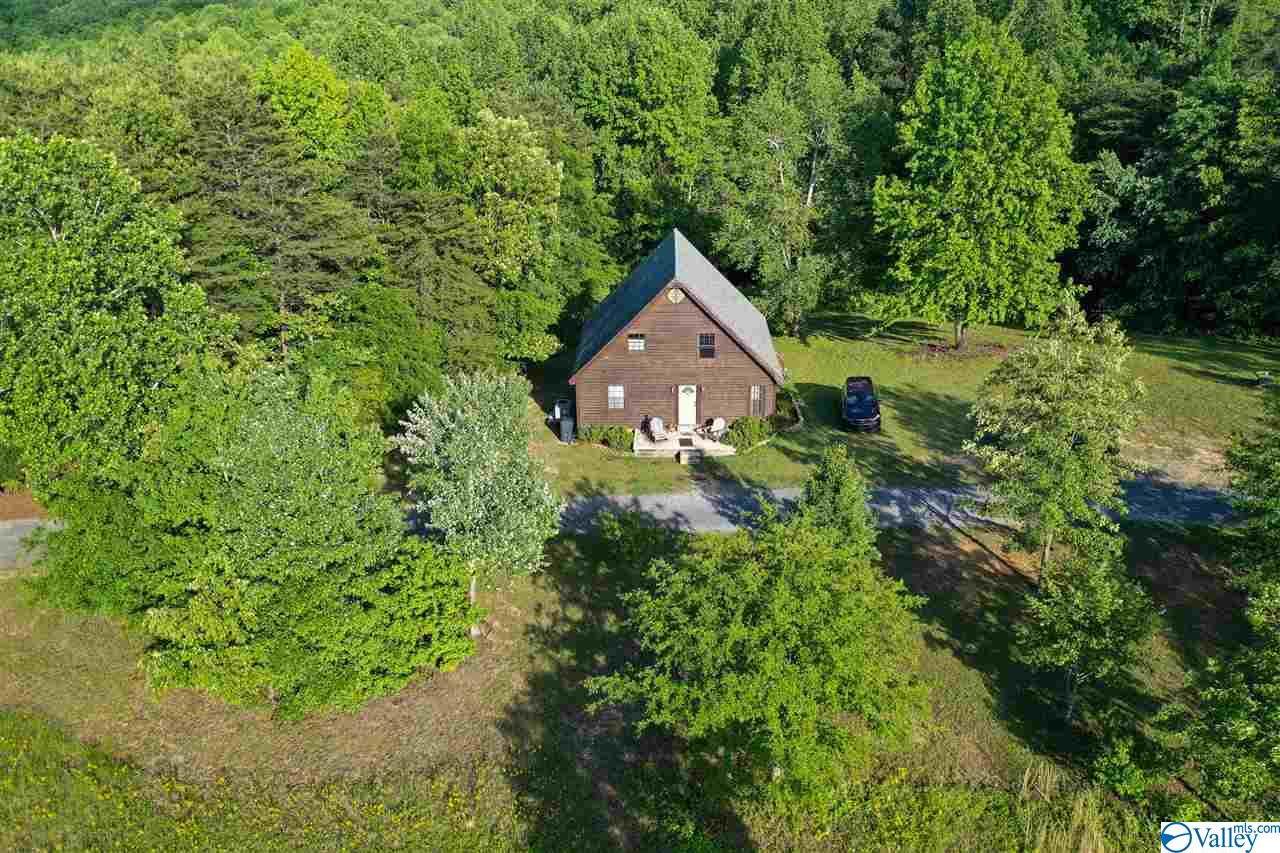 816 Freeman Road - Photo 1