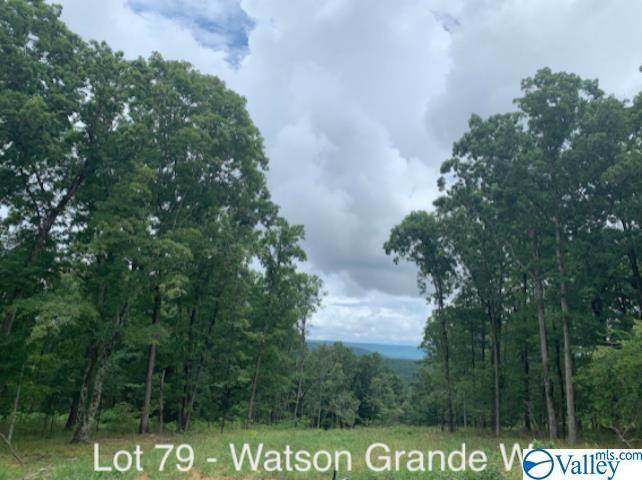 40 Watson Grande Way - Photo 1
