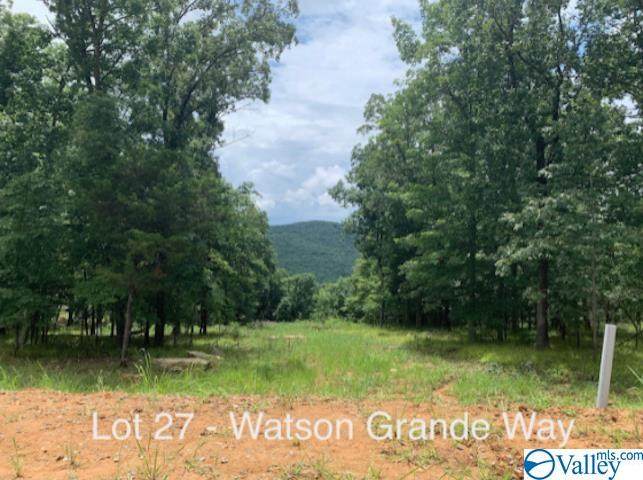 53 Watson Grande Way - Photo 1