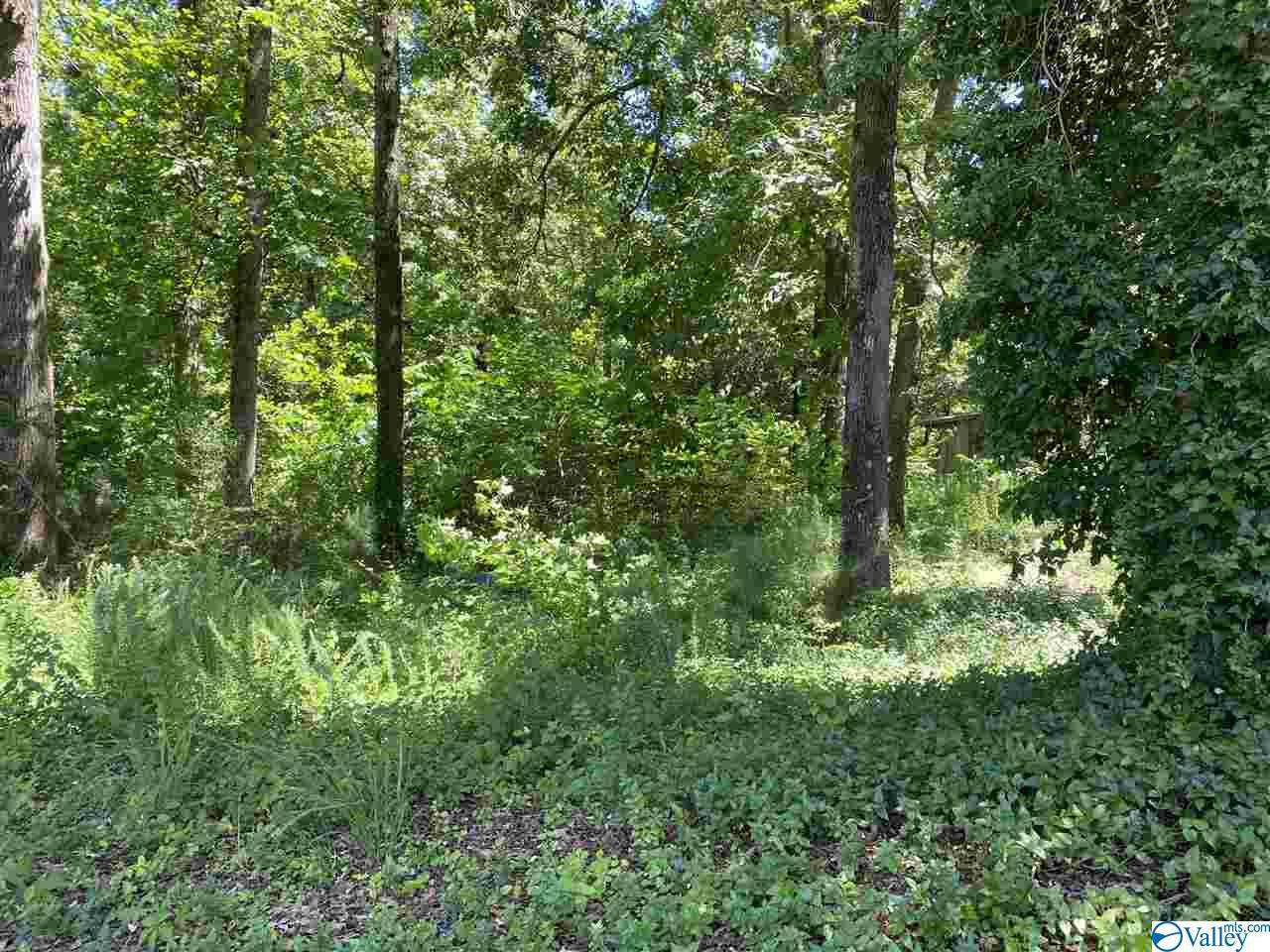 100 County Road 426 - Photo 1