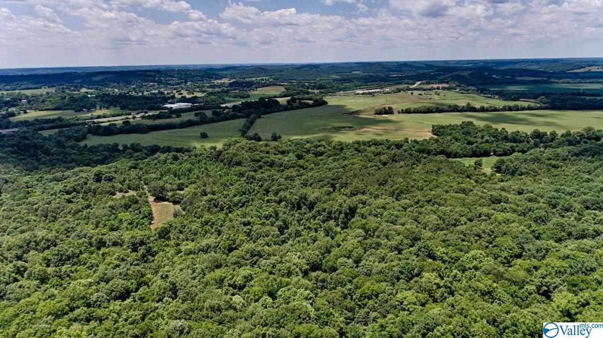 0 Dixon Town Road - Photo 1