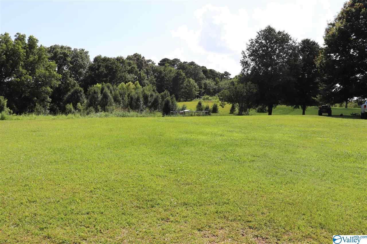 Lot 2 Mardi Gras Estates - Photo 1