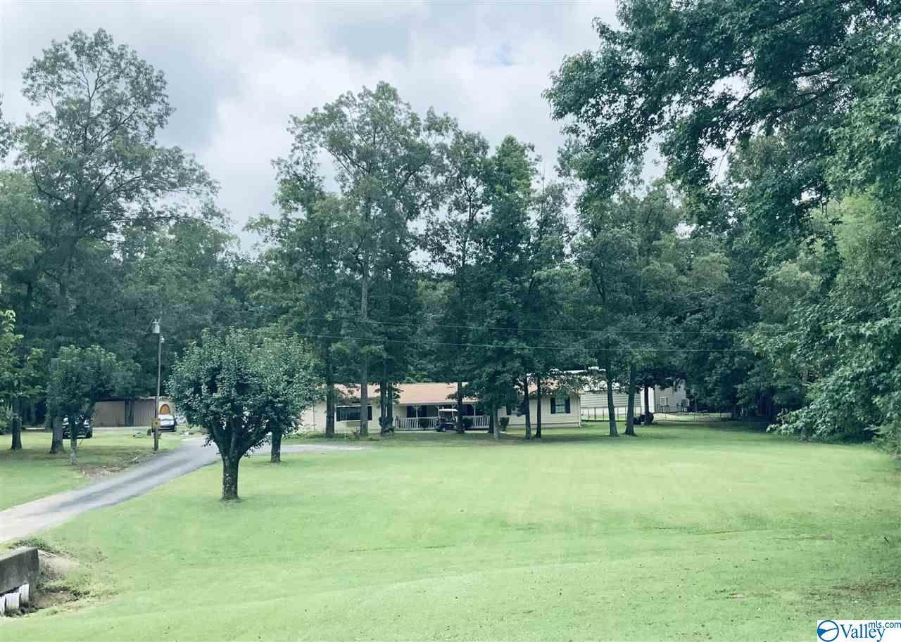 10340 Alabama Highway 9 - Photo 1