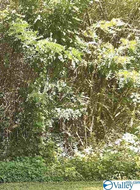 0 Rocky Branch Drive - Photo 1