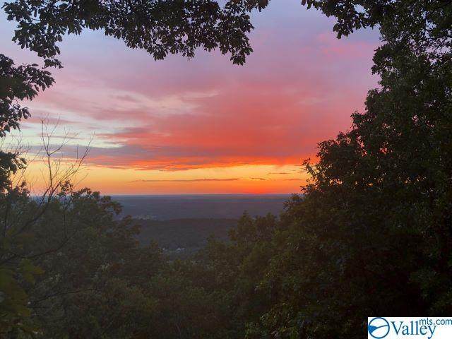 17939 County Road 89 - Photo 1