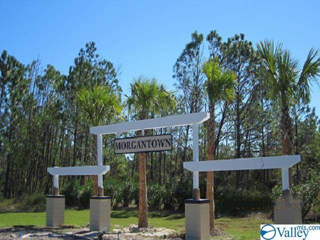000000 Sawgrass Drive - Photo 1