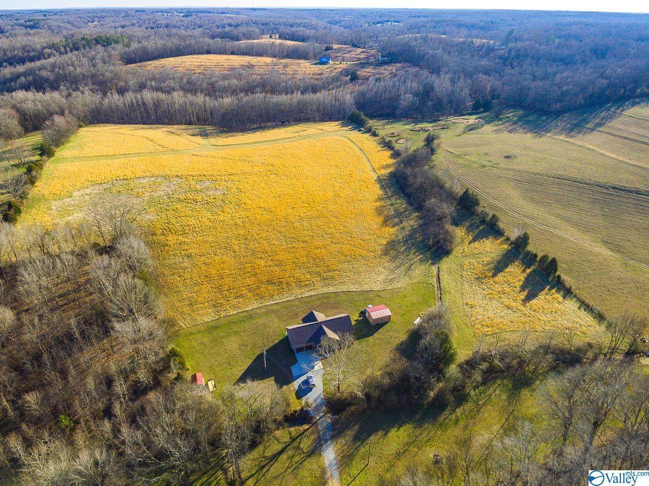 9581 Mary Davis Hollow Road - Photo 1