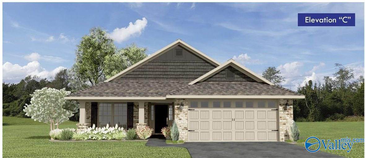 221 Alonzo Toney Drive - Photo 1