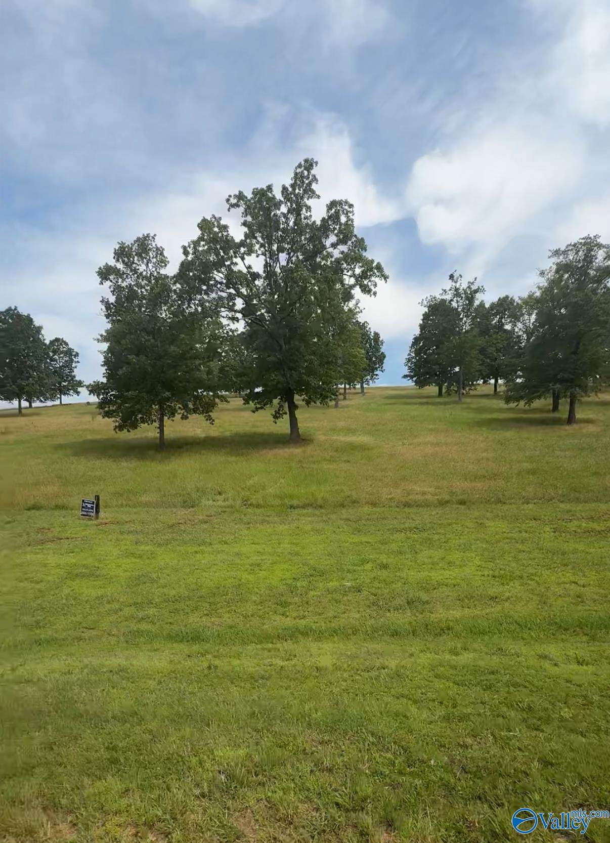 Lot 220 County Road 767 - Photo 1