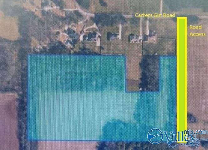 19 acres Carters Gin Road - Photo 1