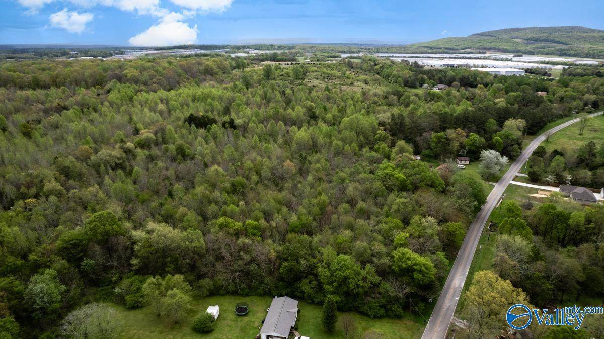 77 Acres Carters Gin Road - Photo 1