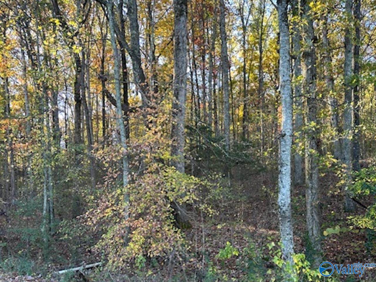 129 Price Mountain Drive - Photo 1