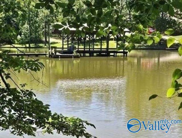 Lot 68 County Road 608 - Photo 1