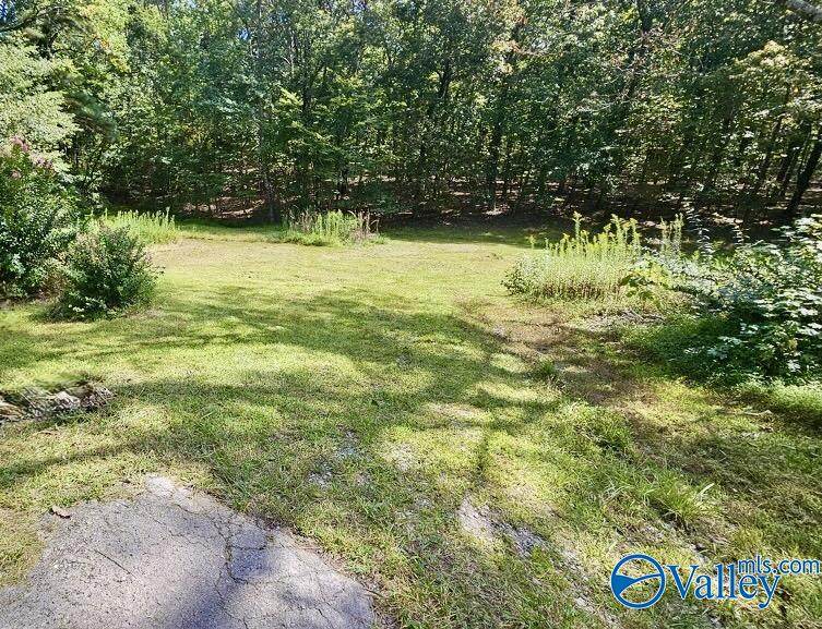 4207 Chickasaw - Photo 1