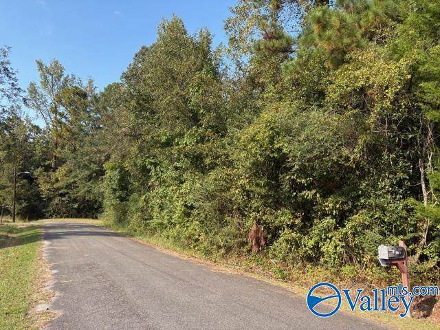 1428 Cove Creek Drive - Photo 1
