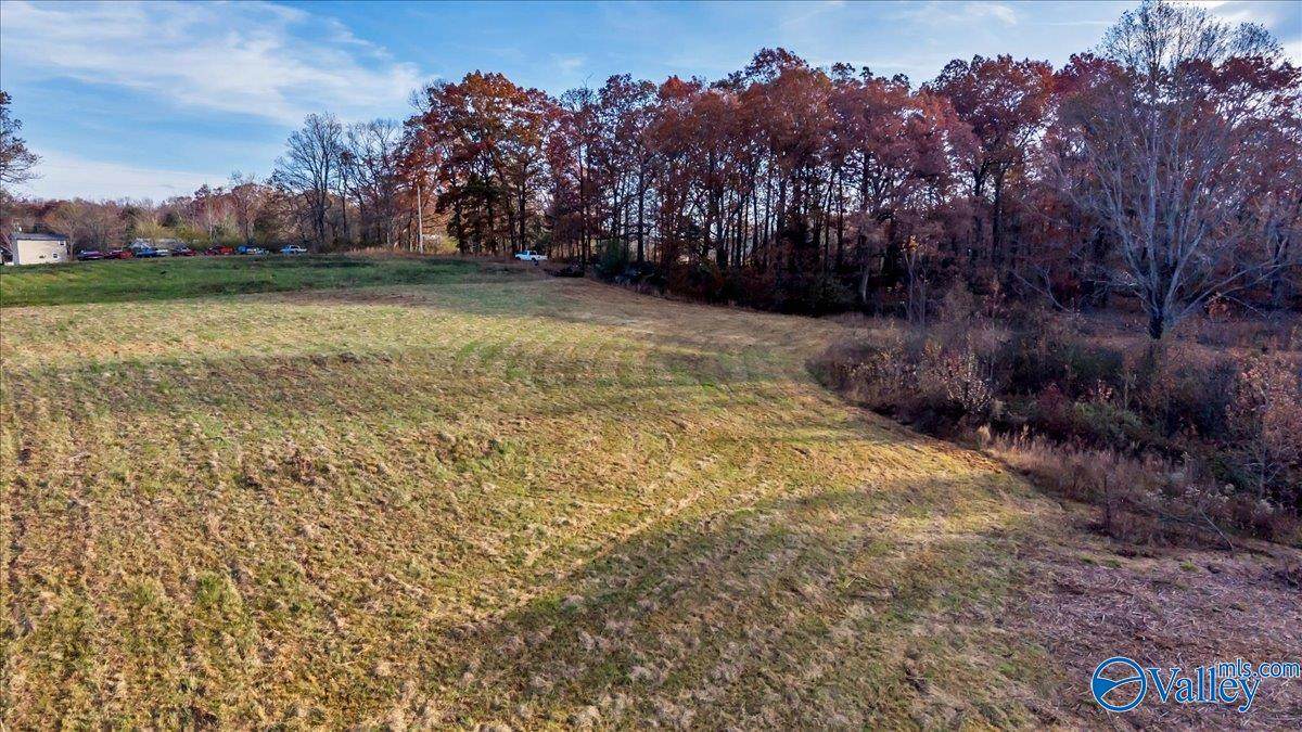 16.39ac County Road 146 - Photo 1