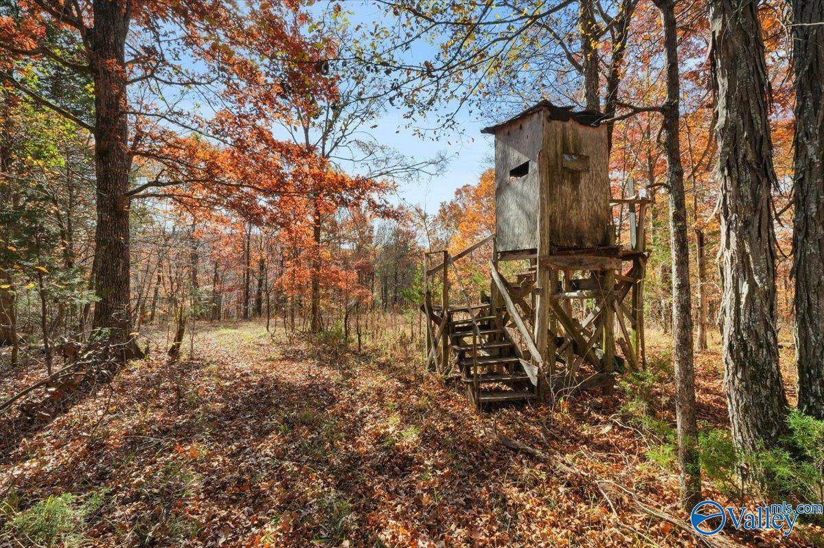 80 ACRES Upper Hurricane Road - Photo 1