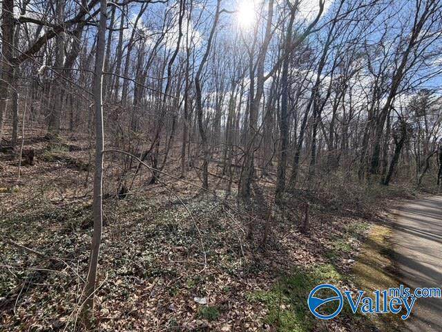 3711 Wilborn Avenue - Photo 1