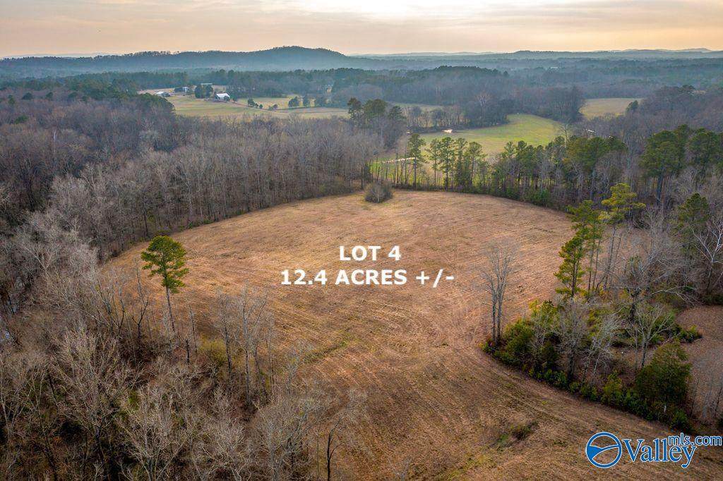 Lot 4 Cedar Springs Drive - Photo 1