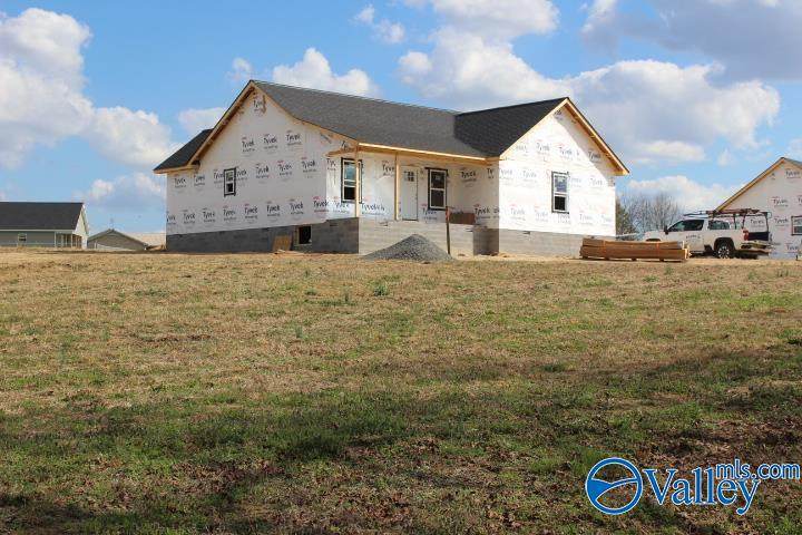 380 County Road 244 - Photo 1