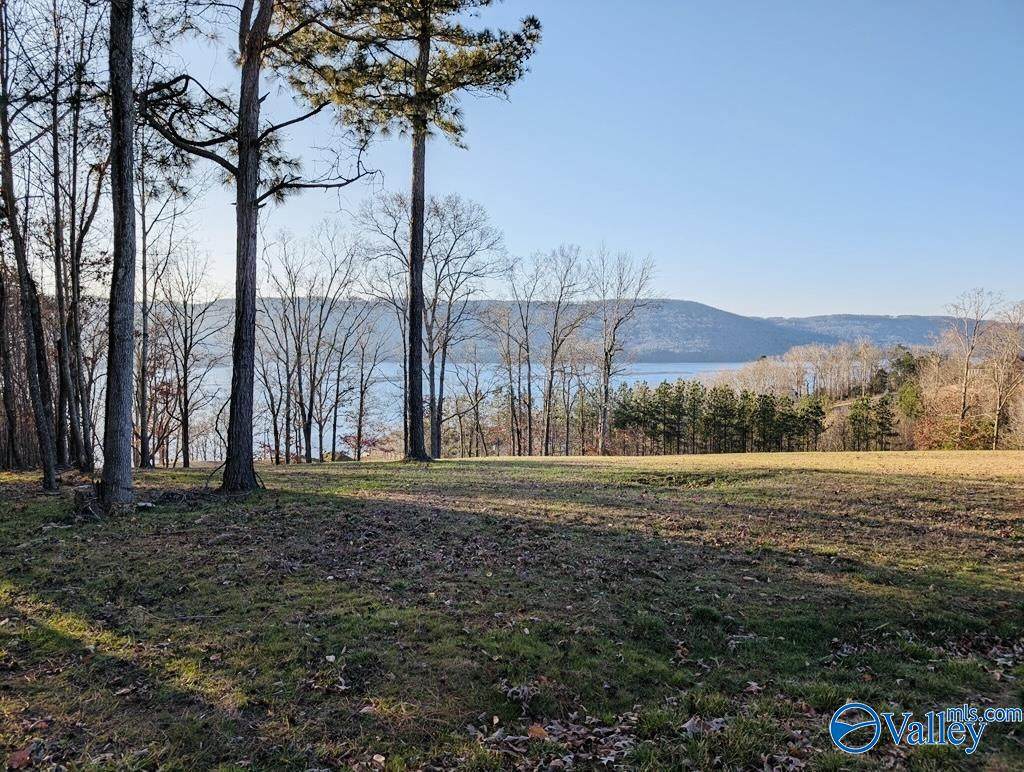 986 Monte Sano Drive - Photo 1
