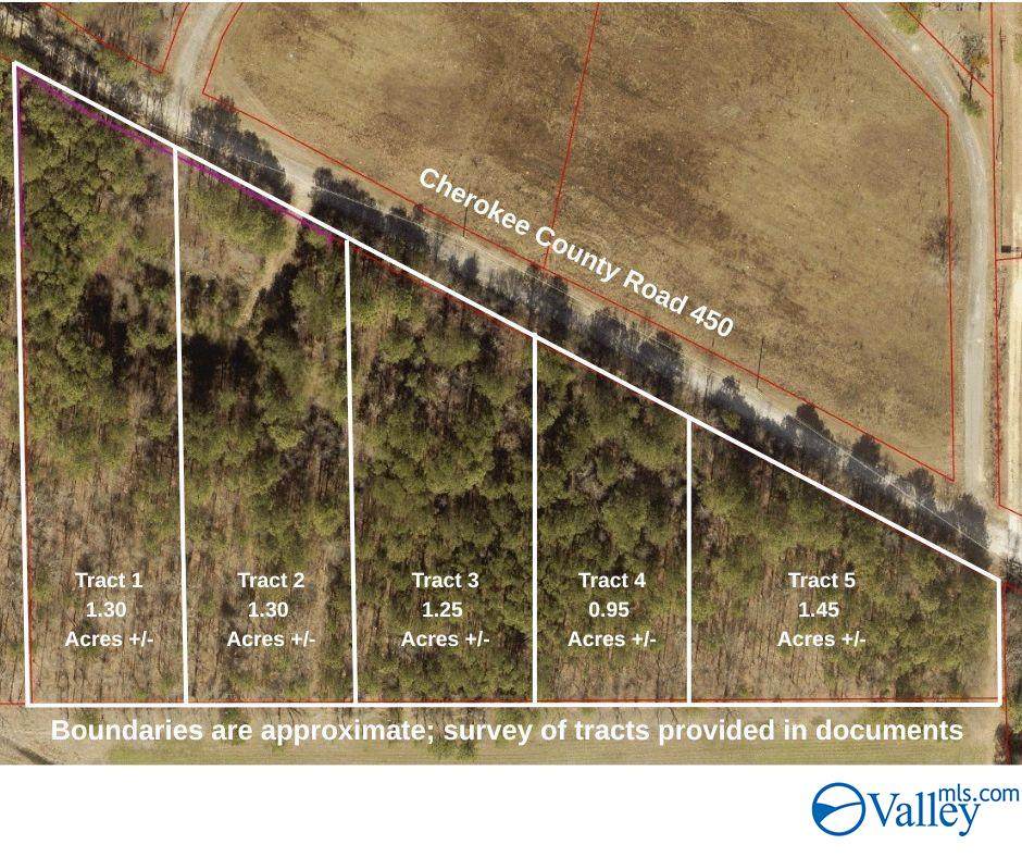 Tract 3 County Road 450 - Photo 1