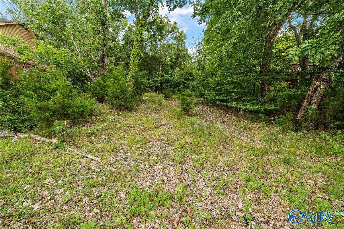 3040 Box Canyon Road - Photo 1